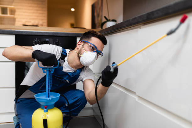 Best Affordable Pest Control Services  in Fourche Crossing, LA