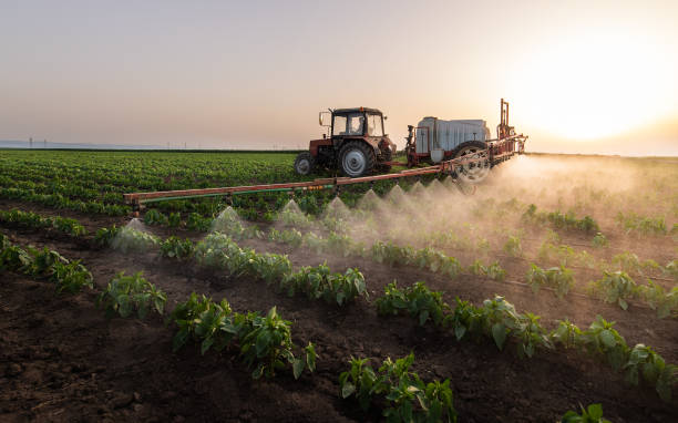 Best Best Pest Control Companies  in Fourche Crossing, LA