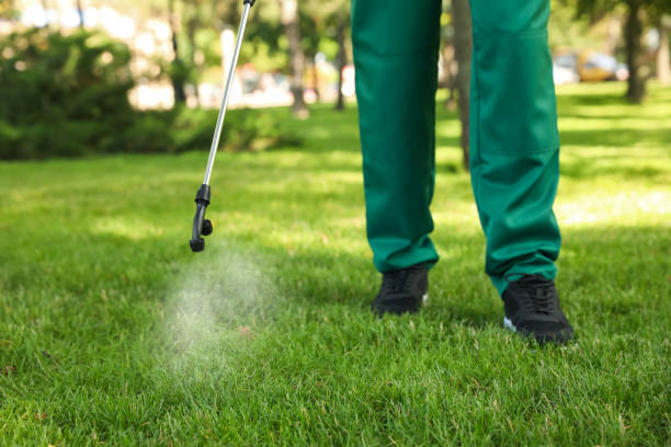 Best Commercial Pest Control Services  in Fourche Crossing, LA