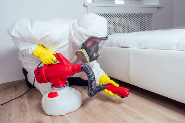 Wasp Removal Services in Lafourche Crossing, LA
