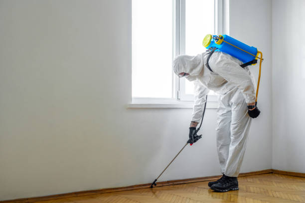 Reliable Lafourche Crossing, LA Pest Control Solutions