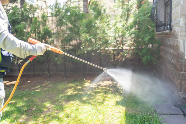 Best Flea Control Services  in Fourche Crossing, LA