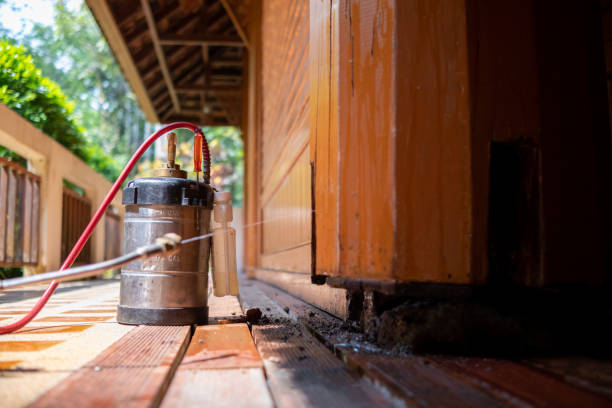 Best Local Pest Control Services  in Fourche Crossing, LA