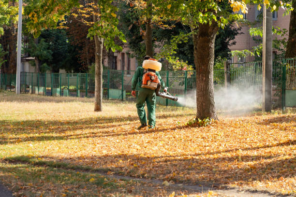 Best Pest Removal Services  in Fourche Crossing, LA