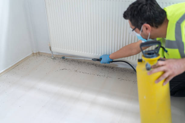 Best Termite Control Services  in Fourche Crossing, LA