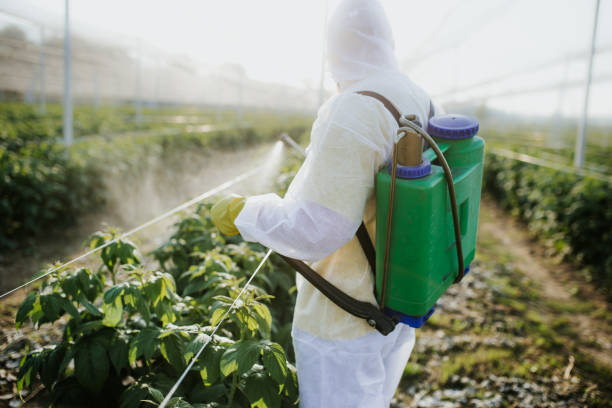 Best Emergency Pest Control  in Fourche Crossing, LA